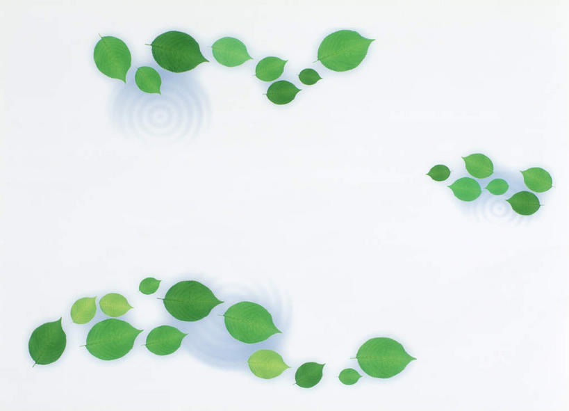 无人,横图,室内,特写,白天,白色背景,正面,美景,植物,叶子,许多,环保,纹理,景观,绿叶,绿化,绿色,自然,嫩叶,景色,摄影,影棚,能源,环境,回收,资源,自然风光,利用,低碳,循环,肌理,持续,叶,叶片,叶脉,彩图,影棚拍摄,拍摄