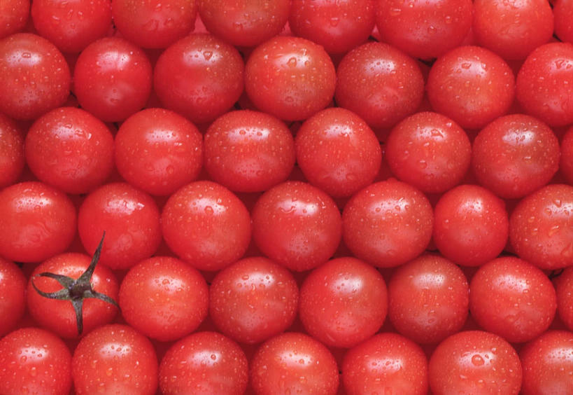 无人,横图,俯视,室内,特写,白天,蔬菜,西红柿,一堆,许多,堆积,新鲜,食品,食物,红色,有机食品,绿色食品,堆,樱桃番茄,圣女果,番茄,彩图,高角度拍摄