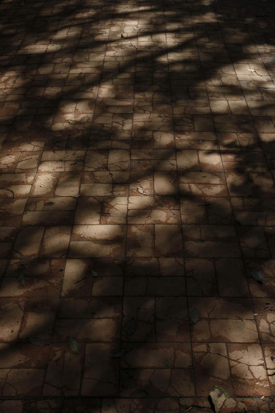 无人,竖图,俯视,室外,白天,一排,许多,阴影,整齐,光线,地砖,影子,地面,很多,斑驳,排列,阳光,复杂,腐蚀,侵蚀,队列,庞杂,繁杂,冗杂,彩图,高角度拍摄