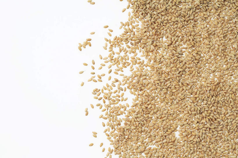 无人,横图,俯视,室内,特写,白天,白色背景,一堆,许多,阴影,堆叠,堆积,反射,影子,谷类,谷物,水稻,米,很多,稻,大米,摄影,影棚,堆,散开,彩图,高角度拍摄,影棚拍摄,拍摄