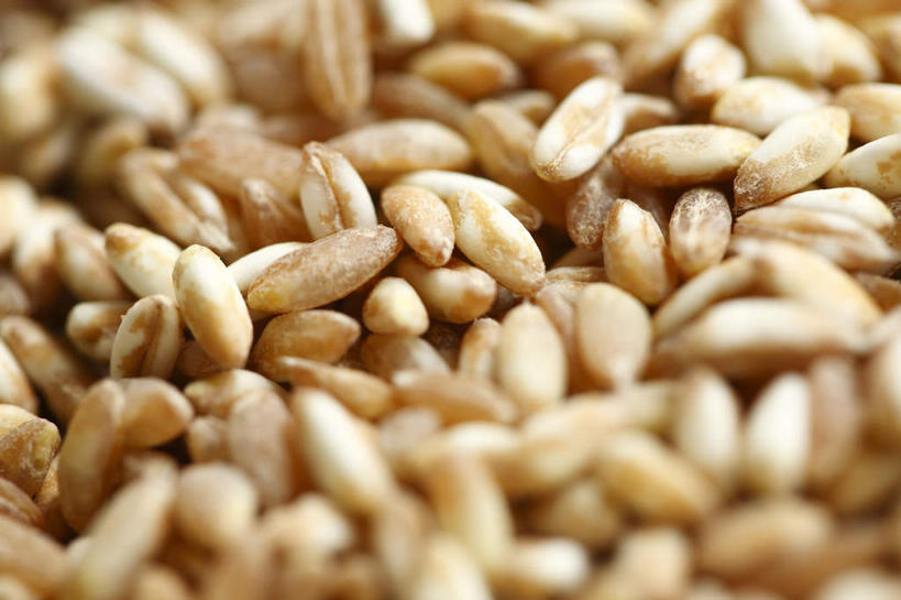 无人,横图,俯视,室内,特写,白天,农作物,小麦,静物,一堆,阴影,堆叠,堆积,朦胧,模糊,光线,影子,谷物,阳光,稻谷,稻子,麦子,堆,彩图,高角度拍摄