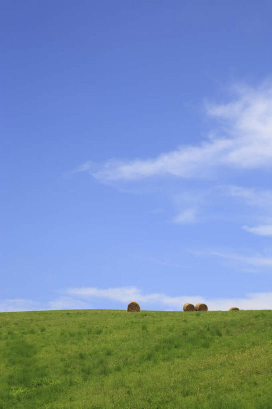 无人,竖图,室外,白天,正面,旅游,度假,草地,草坪,美景,植物,北海道,日本,亚洲,一排,整齐,地平线,景观,云,云朵,辽阔,地面,干草堆,云彩,娱乐,草,排列,蓝色,绿色,白云,蓝天,天空,自然,天,四个,享受,休闲,广阔,景色,放松,晴朗,一望无际,队列,自然风光,延伸,东亚,日本国,天地相交,北海道地方,北海道岛,美瑛町,美瑛,无边无际,一马平川,晴空,彩图