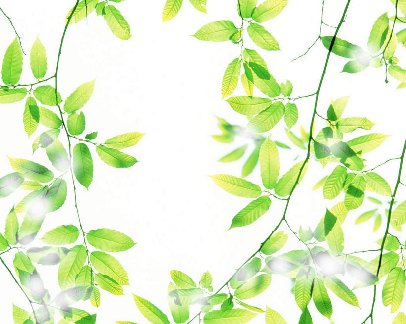 无人,横图,室内,特写,白天,正面,数码,科技,美景,植物,叶子,日光,阴影,光线,网络,影子,景观,绿叶,高光,几何,计算机图形,合成,树枝,绿色,阳光,自然,嫩叶,景色,生长,成长,电脑合成图,数码合成图,清新,光合作用,写实,具体,具象,叶,叶片,彩图