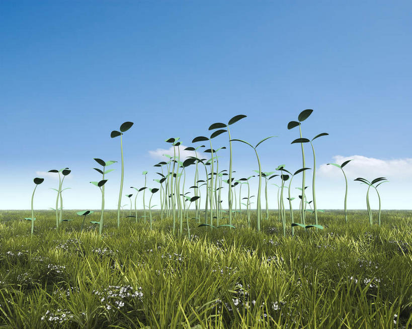 无人,横图,室外,白天,正面,旅游,度假,草地,美景,植物,许多,景观,云,云朵,嫩苗,云彩,娱乐,草,蓝色,绿色,白云,蓝天,天空,自然,天,树苗,享受,休闲,景色,放松,晴朗,新生,自然风光,复活,重生,晴空,彩图