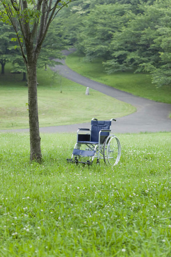 无人,竖图,室外,白天,正面,草地,草坪,美景,植物,叶子,东京,日本,亚洲,阴影,曲折,弯曲,光线,工具,影子,景观,小路,绿叶,小花,大片,小草,草,花卉,树,树干,树木,树枝,绿色,阳光,自然,轮椅,春季,春天,复健,康复,器械,嫩叶,景色,蜿蜒,生长,成长,摆放,生机,医疗设备,枝叶,生命,花草,自然风光,医疗器械,医疗工具,东亚,本州,关东地方,本州岛,日本国,东京都,辅助设备,春日,叶,叶片,彩图