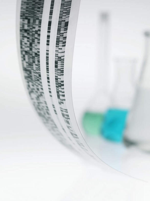 无人,竖图,俯视,室内,特写,白天,白色背景,实验,仪器,静物,一堆,堆叠,堆积,研究,透明,分析,科学,化学,测试,烧瓶,锥形瓶,实验室,研究室,弧形,玻璃制品,排列,蓝色,绿色,白色,灰色,玻璃瓶,瓶子,四个,器皿,摄影,影棚,堆,弧线,科研,生物学,化验,检验,研究所,玻璃仪器,试验耗材,实验用品,化验室,检验室,三角烧瓶,依氏烧瓶,锥形烧瓶,遗传学,摆列,彩图,高角度拍摄,影棚拍摄,拍摄,布列,分列