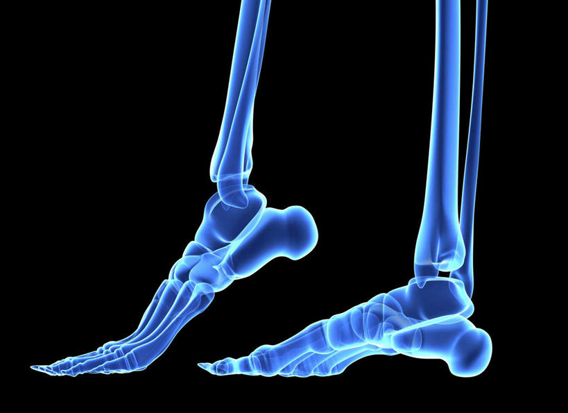 腿部,脚,脚趾,骨骼,脚后跟,脚背,踝,腿,无人,横图,插画,x光片,室内,白天,正面,数码,科技,阴影,黑色背景,反射,辐射,科学,网络,医学,影子,骨头,高光,几何,计算机图形,合成,图画,双脚,画,蓝色,抬脚,踮脚,脉络,电脑合成图,数码合成图,骨架,医疗,科学技术,x射线,足部,人骨,x光,漫画,足,写实,具体,具象,解剖学,脚底,彩图,电磁波,电磁辐射