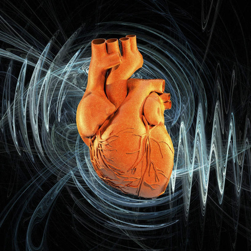 内脏,心脏,动脉,静脉,无人,方图,插画,室内,特写,白天,正面,数码,科技,静物,阴影,黑色背景,网络,高光,几何,计算机图形,合成,图画,画,模型,人体,电脑合成图,数码合成图,生物学,器官,漫画,心跳,心血管,心房,心室,生理学,写实,具体,具象,心,彩图