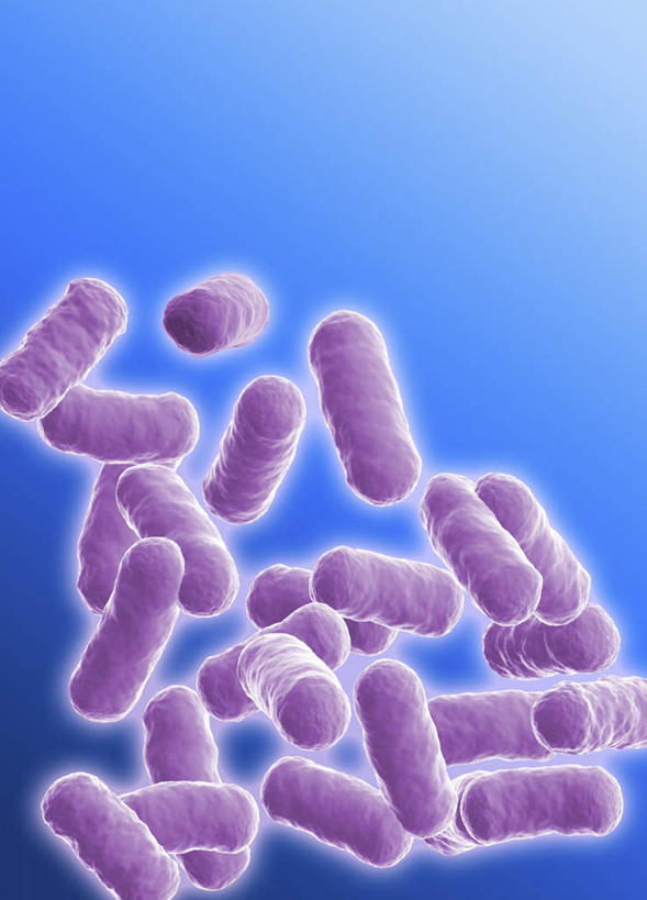 无人,竖图,插画,室内,特写,白天,正面,数码,科技,微生物,一堆,许多,阴影,堆叠,堆积,蓝色背景,网络,细菌,医学,高光,几何,计算机图形,合成,图画,画,黄色,生物,堆,电脑合成图,数码合成图,医疗,生物学,漫画,写实,具体,具象,杆菌,寄生,生命体,棒状杆菌,彩图