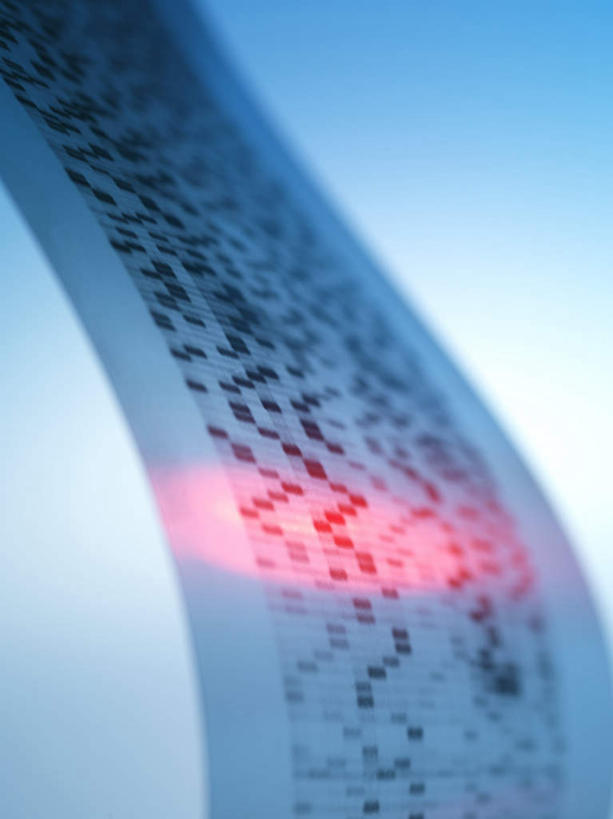 无人,竖图,室内,特写,白天,白色背景,正面,电子,激光,静物,一张,朦胧,模糊,光线,科学,信息,基因,标签,符号,数字,灯光,纸条,纸张,标识,生物,摄影,影棚,遗传,条形码,编码,条码,遗传信息,遗传因子,遗传学,彩图,影棚拍摄,拍摄