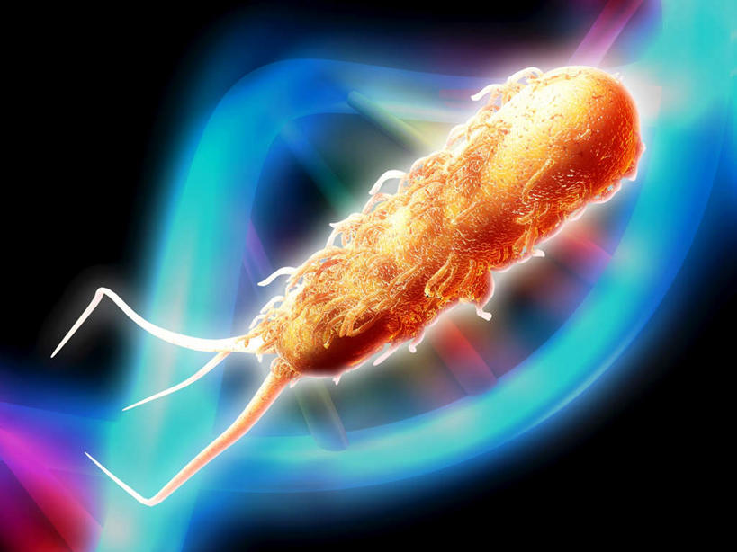 无人,横图,插画,室内,特写,白天,正面,数码,科技,微生物,阴影,黑色背景,科学,网络,基因,细菌,高光,几何,计算机图形,合成,图画,画,生物,遗传,电脑合成图,数码合成图,脱氧核糖核酸,漫画,写实,具体,具象,生命体,DNA分子,去氧核糖核酸,遗传信息,遗传因子,遗传学,大肠杆菌,大肠埃希氏菌,肠道菌群,彩图