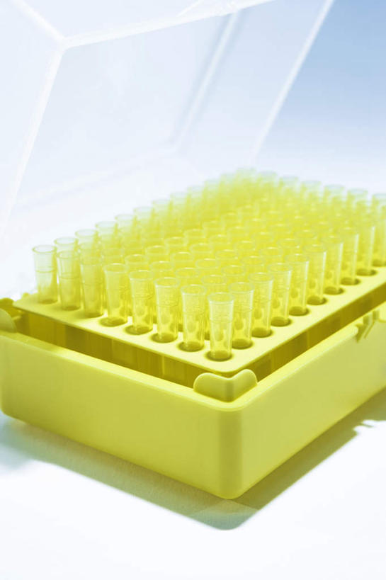 无人,竖图,俯视,室内,特写,白天,实验,仪器,杯子,两层,一排,许多,阴影,灰色背景,研究,整齐,透明,反射,分析,化学,测试,试管,试管架,影子,塑料,很多,辉煌,架子,玻璃制品,排列,一个,黄色,玻璃瓶,瓶子,塑料制品,健康,器皿,摄影,活泼,影棚,单个,希望,暖色,队列,光辉,计量,玻璃仪器,试验耗材,实验用品,光明,功名,轻快,玻璃杯,彩图,高角度拍摄,影棚拍摄,拍摄