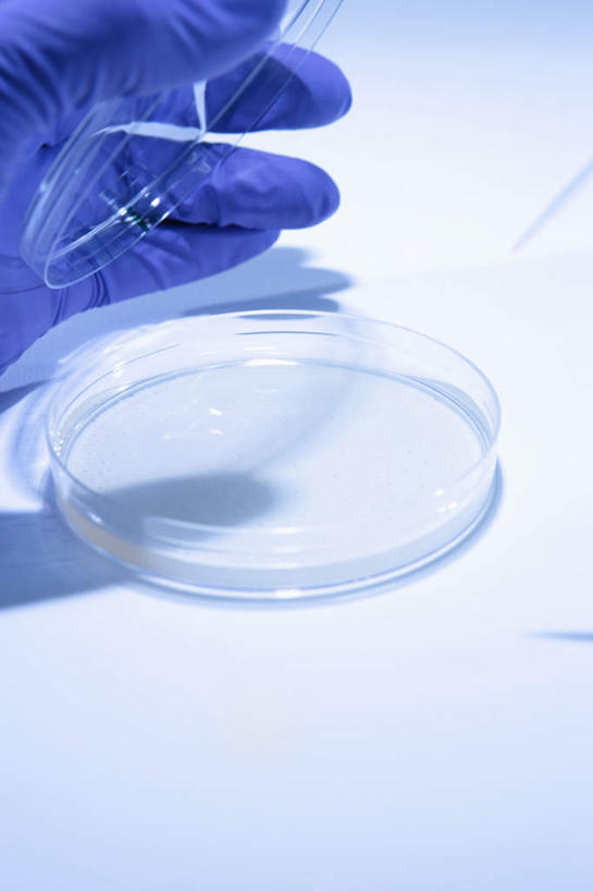 手,一个人,科学家,竖图,室内,白天,正面,安全,实验,仪器,仅一个人,握,朦胧,模糊,研究,透明,分析,科学,化学,测试,培养皿,防护,拿,拿着,一个,蓝色,手套,手部,器皿,生物,握着,单个,保护,科研,化验,保险,检验,科学研究者,试验耗材,实验用品,化学器材,保全,周全,安稳,安定,防护手套,理智,沉静,冷色,高深,冷淡,平安,科学工作者,半身,彩图