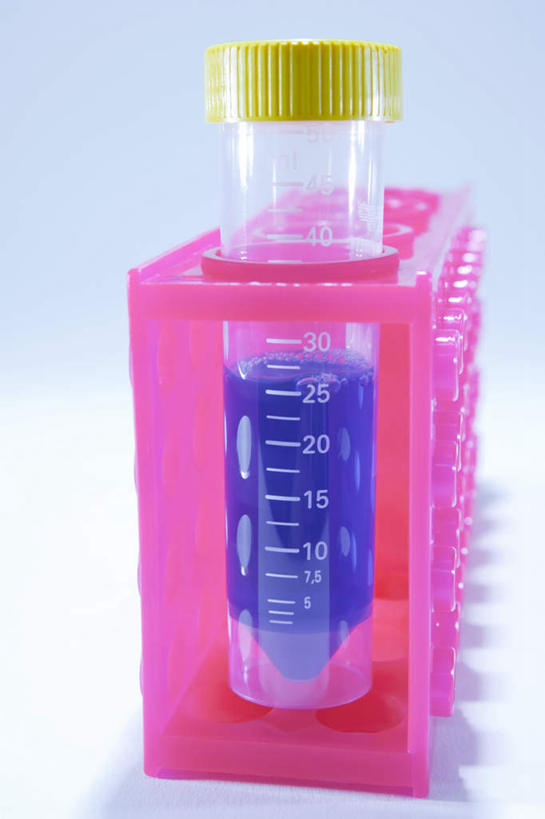 无人,竖图,室内,特写,白天,正面,爱情,幸福,实验,仪器,杯子,灰色背景,研究,透明,分析,化学,测试,标志,试管,试管架,数字,文字,液体,字符,刻度,粉红色,粉红,浪漫,标识,架子,玻璃制品,一个,粉色,蓝色,玻璃瓶,瓶子,健康,器皿,可爱,摄影,阿拉伯数字,活泼,影棚,单个,青春,满足,甜美,时髦,温柔,计量,纯真,玻璃仪器,试验耗材,实验用品,理智,沉静,冷色,高深,冷淡,玻璃杯,彩图,影棚拍摄,拍摄