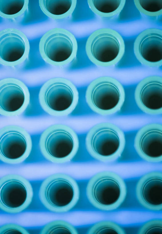 无人,竖图,俯视,室内,特写,白天,实验,静物,一排,许多,研究,整齐,分析,化学,测试,盘,塑料,洞,很多,架子,排列,蓝色,塑料制品,摄影,洞穴,影棚,样本,样品,队列,穴,试验耗材,实验用品,彩图,高角度拍摄,影棚拍摄,拍摄