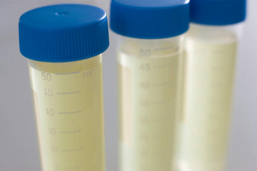 无人,横图,俯视,室内,特写,白天,实验,仪器,桌面,桌子,杯子,一排,朦胧,模糊,研究,整齐,透明,分析,化学,测试,木制,标志,试管,数字,文字,字符,标识,玻璃制品,排列,三个,玻璃瓶,木制品,瓶子,器皿,阿拉伯数字,样本,样品,队列,计量,玻璃仪器,试验耗材,实验用品,玻璃杯,彩图,高角度拍摄