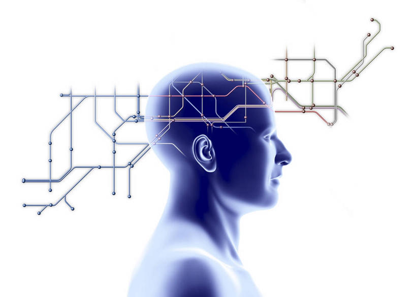 脑,脊髓,一个人,无人,横图,插画,室内,白天,白色背景,正面,数码,科技,仅一个男性,仅一个人,连接,阴影,网络,高光,几何,计算机图形,合成,线路,图画,画,仅一个年轻男性,模型,电脑合成图,数码合成图,合成图,漫画,写实,具体,具象,脊神经,脑神经,贯穿,连结,衔接,中枢神经系统,周围神经系统,串连,模子,男人,男性,年轻男性,脊柱,半身,彩图,调节系统,植物性神经,周围神经,神经系统,中枢神经