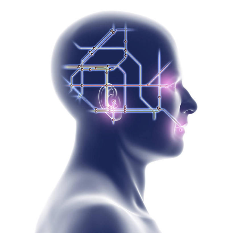 脑,脊髓,一个人,无人,方图,插画,室内,白天,白色背景,正面,数码,科技,仅一个男性,仅一个人,阴影,亮光,网络,光亮,高光,几何,计算机图形,合成,图画,画,仅一个年轻男性,粉色,模型,电脑合成图,数码合成图,合成图,漫画,写实,具体,具象,脊神经,脑神经,中枢神经系统,周围神经系统,模子,男人,男性,年轻男性,脊柱,半身,彩图,调节系统,植物性神经,周围神经,神经系统,中枢神经