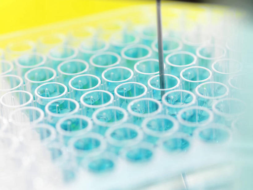 无人,横图,俯视,室内,特写,白天,实验,仪器,桌面,桌子,杯子,一排,许多,朦胧,模糊,研究,整齐,并列,并排,透明,分析,化学,测试,木制,试管,试管架,液体,很多,架子,玻璃制品,排列,一个,黄色,蓝色,玻璃瓶,木制品,瓶子,搅拌棒,器皿,摄影,影棚,单个,队列,平行,计量,玻璃仪器,试验耗材,实验用品,理智,沉静,冷色,高深,冷淡,玻璃杯,搅棒,彩图,高角度拍摄,影棚拍摄,拍摄