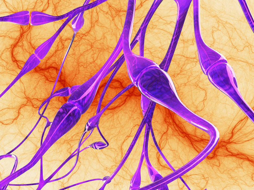 脑,脊髓,无人,交叉,横图,插画,室内,白天,正面,数码,科技,阴影,黄色背景,环绕,缠绕,传递,曲线,网络,纹路,纹理,线条,高光,几何,计算机图形,合成,图画,画,红色,紫色,电脑合成图,数码合成图,合成图,纠缠,漫画,肌理,写实,具体,具象,相交,交集,突触,突触间隙,脊神经,脑神经,中枢神经系统,周围神经系统,脊柱,彩图,调节系统,植物性神经,周围神经,突触后膜,突触前膜,神经系统,中枢神经