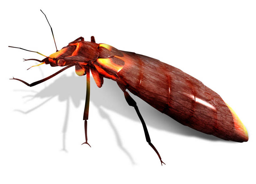 无人,站,横图,俯视,插画,室内,白天,数码,科技,阴影,反射,网络,昆虫,影子,高光,几何,计算机图形,合成,图画,注视,停留,画,一只,动物,观察,看,站着,观看,停止,电脑合成图,数码合成图,察看,合成图,关注,漫画,写实,具体,具象,害虫,壁虱,逗留,停顿,臭虫,站立,彩图,高角度拍摄,全身,床虱,木蚤