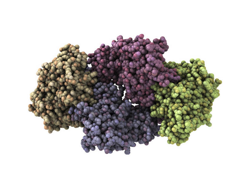 无人,横图,插画,室内,白天,白色背景,正面,数码,分子,科技,阴影,网络,化学,医学,褐色,高光,几何,计算机图形,系统,合成,图画,画,绿色,灰色,流动,电脑合成图,数码合成图,分子结构,合成图,原子,转移,漫画,循环,粒子,写实,具体,具象,分子几何,分子立体结构,分子形状,彩图,循环系统,Krebs循环,辅酶,柠檬酸循环,三羧酸循环,乙酰辅酶,乙酰辅酶A,有机小分子