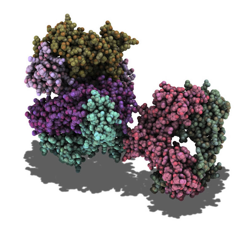 无人,方图,插画,室内,白天,白色背景,正面,数码,分子,科技,阴影,反射,网络,化学,细胞,影子,高光,几何,计算机图形,合成,图画,画,红色,绿色,紫色,电脑合成图,数码合成图,分子结构,合成图,原子,漫画,粒子,写实,具体,具象,T淋巴细胞,T细胞,淋巴细胞,分子几何,分子立体结构,分子形状,彩图
