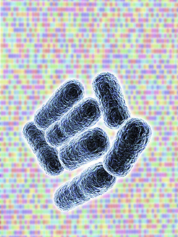 无人,竖图,彩色,插画,室内,白天,正面,数码,科技,微生物,许多,阴影,网络,细菌,很多,高光,几何,计算机图形,合成,图画,画,生物,五颜六色,色彩斑斓,电脑合成图,数码合成图,合成图,五彩缤纷,漫画,写实,具体,具象,五彩斑斓,生命体,大肠杆菌,大肠埃希氏菌,肠道菌群,五光十色,彩图,原核生物