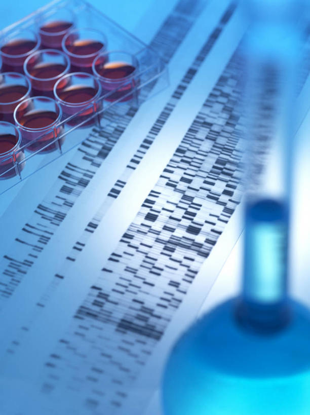 无人,竖图,俯视,室内,特写,白天,实验,仪器,水,一排,许多,阴影,蓝色背景,研究,整齐,并列,并排,透明,反射,分析,科学,化学,基因,测试,圆形,培养皿,烧瓶,图形,液体,影子,圆,实验室,水滴,研究室,很多,几何,玻璃制品,排列,蓝色,玻璃瓶,瓶子,橙色,器皿,生物,摄影,影棚,遗传,脱氧核糖核酸,队列,数学,平行,试验室,皮氏培养皿,试验耗材,实验用品,化学器材,平底烧瓶,DNA分子,去氧核糖核酸,遗传信息,遗传因子,遗传学,彩图,高角度拍摄,影棚拍摄,拍摄,几何图形,平面图形,DNA图谱,基因图,基因图谱
