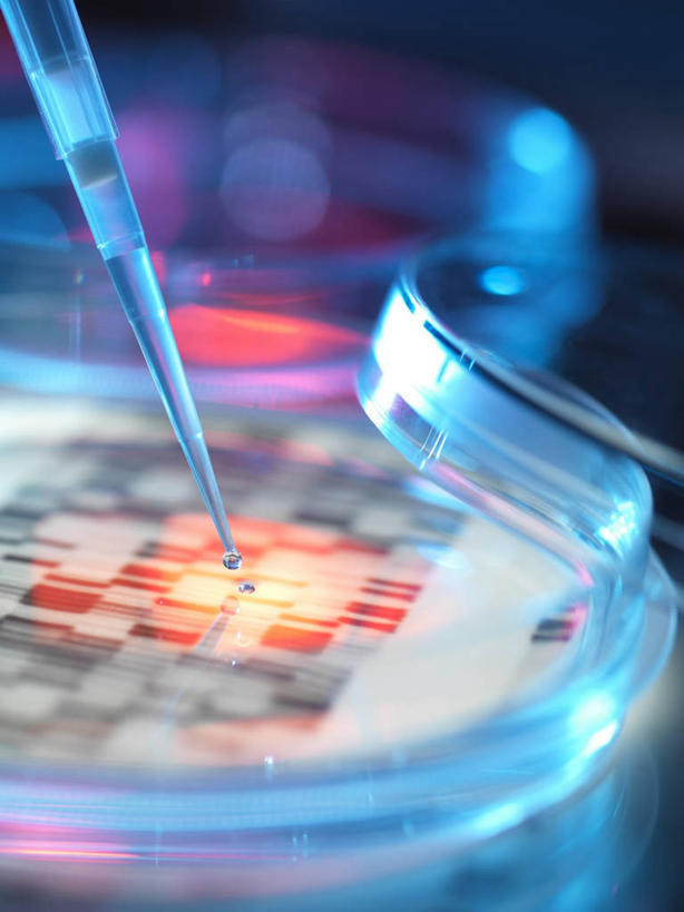 无人,竖图,室内,白天,正面,数码,实验,仪器,科技,水,阴影,研究,分析,科学,网络,化学,基因,测试,滴管,培养皿,液体,水滴,高光,几何,计算机图形,合成,一个,器皿,生物,遗传,单个,电脑合成图,数码合成图,脱氧核糖核酸,合成图,皮氏培养皿,试验耗材,实验用品,化学器材,吸液管,写实,具体,具象,移液管,DNA分子,去氧核糖核酸,遗传信息,遗传因子,遗传学,彩图,DNA图谱,基因图,基因图谱