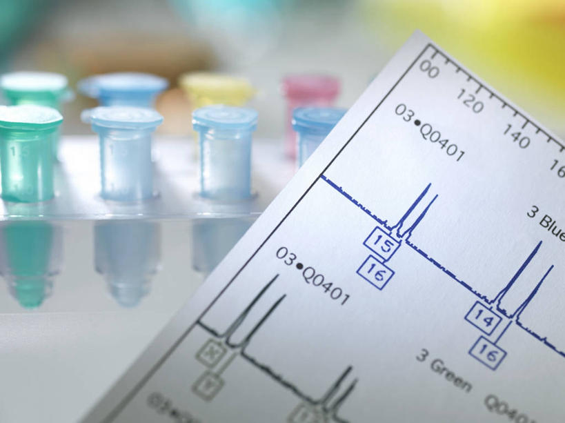 无人,横图,室内,特写,白天,正面,实验,仪器,杯子,一排,许多,阴影,朦胧,模糊,研究,整齐,并列,并排,透明,反射,分析,科学,化学,基因,测试,试管,试管架,影子,实验室,研究室,很多,架子,玻璃制品,排列,玻璃瓶,瓶子,器皿,生物,遗传,脱氧核糖核酸,队列,平行,计量,试验室,玻璃仪器,试验耗材,实验用品,DNA分子,去氧核糖核酸,遗传信息,遗传因子,遗传学,玻璃杯,彩图,DNA图谱,基因图,基因图谱,DNA序列,核酸的一级结构,核酸序列