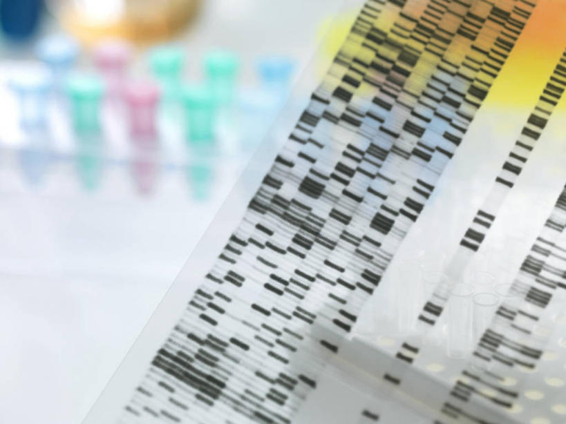 无人,横图,室内,特写,白天,正面,实验,仪器,杯子,一排,许多,阴影,朦胧,模糊,研究,整齐,并列,并排,透明,反射,分析,科学,化学,基因,测试,试管,试管架,影子,实验室,研究室,很多,架子,玻璃制品,排列,玻璃瓶,瓶子,器皿,生物,遗传,脱氧核糖核酸,队列,平行,计量,试验室,玻璃仪器,试验耗材,实验用品,DNA分子,去氧核糖核酸,遗传信息,遗传因子,遗传学,玻璃杯,彩图,DNA图谱,基因图,基因图谱,DNA序列,核酸的一级结构,核酸序列