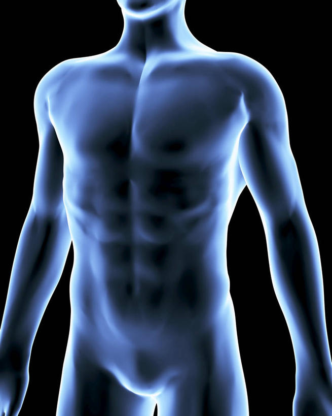 一个人,无人,站,竖图,插画,x光片,室内,白天,正面,数码,科技,仅一个男性,仅一个人,阴影,黑色背景,辐射,科学,网络,医学,高光,几何,计算机图形,合成,图画,裸露,画,仅一个年轻男性,站着,电脑合成图,数码合成图,医疗,科学技术,x射线,合成图,裸,x光,漫画,写实,具体,具象,男人,男性,年轻男性,站立,X光图片,X光图像,半身,彩图,电磁波,电磁辐射