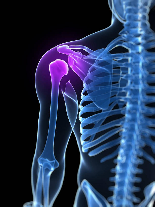 骨骼,一个人,无人,站,竖图,插画,室内,白天,正面,数码,科技,仅一个男性,仅一个人,阴影,黑色背景,网络,纹路,纹理,骨头,高光,几何,计算机图形,合成,图画,画,仅一个年轻男性,蓝色,紫色,站着,疼痛,电脑合成图,数码合成图,骨架,疾病,合成图,漫画,肌理,写实,具体,具象,关节炎,男人,男性,年轻男性,站立,半身,彩图,肩关节周围炎,肩周炎,凝肩,五十肩