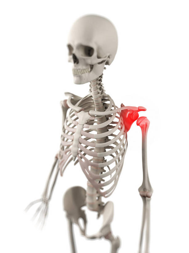 颅骨,骨骼,关节,一个人,无人,站,竖图,插画,室内,白天,白色背景,正面,数码,科技,仅一个男性,仅一个人,阴影,网络,骨头,高光,几何,计算机图形,合成,图画,画,仅一个年轻男性,红色,白色,站着,电脑合成图,数码合成图,骨架,疾病,合成图,漫画,写实,具体,具象,鼻骨,顶骨,额骨,颈椎,颞骨,下颌骨,颧骨,关节炎,男人,男性,年轻男性,头盖骨,站立,半身,彩图,肩关节周围炎,肩周炎,凝肩,五十肩