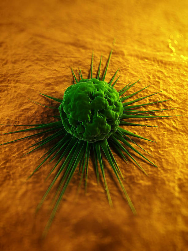 无人,竖图,插画,室内,白天,正面,数码,科技,微生物,阴影,黄色背景,科学,网络,医学,细胞,高光,几何,计算机图形,合成,图画,画,一个,绿色,单个,电脑合成图,数码合成图,生物学,合成图,漫画,癌细胞,写实,具体,具象,彩图