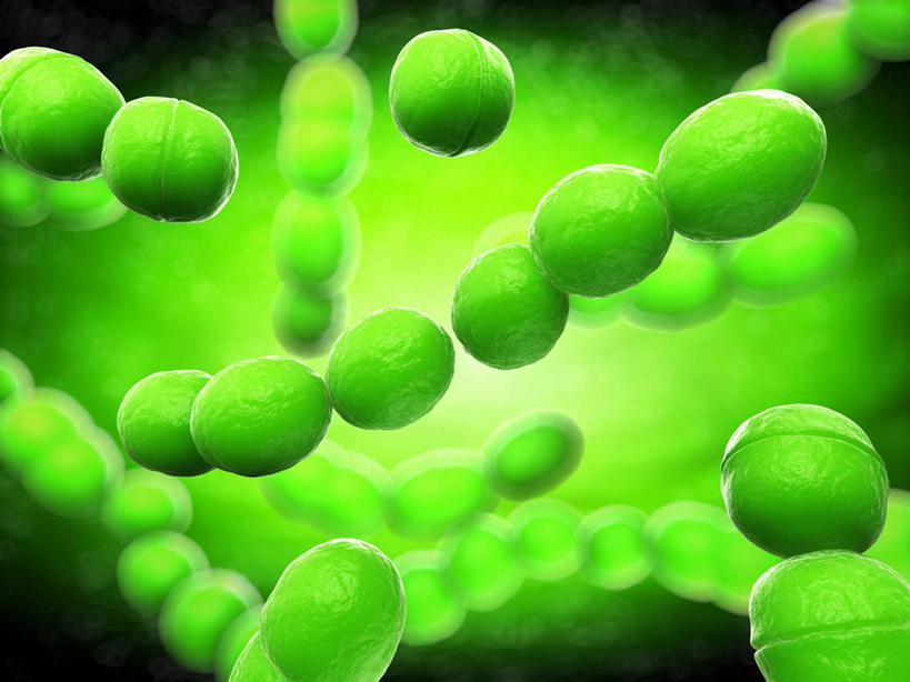 无人,横图,插画,室内,白天,正面,数码,科技,微生物,许多,阴影,新鲜,环绕,缠绕,网络,细菌,图形,高光,几何,计算机图形,合成,图画,画,绿色,球体,生物,巨大,庞大,青春,复杂,电脑合成图,数码合成图,生命,合成图,数学,和平,纠缠,安详,漫画,写实,具体,具象,生命体,链球菌,乳杆菌,冷色,繁杂,宏大,彩图,几何图形,立体几何,立体图形,原核生物