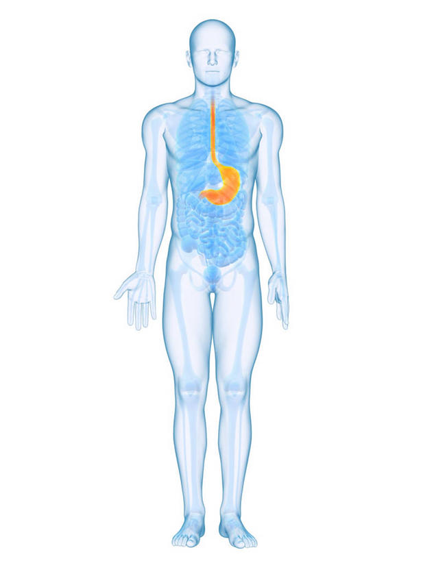 腹部,内脏,胃,动脉,静脉,一个人,无人,站,竖图,插画,室内,白天,白色背景,正面,数码,科技,仅一个男性,仅一个人,阴影,科学,网络,医学,高光,几何,计算机图形,合成,图画,画,仅一个年轻男性,黄色,蓝色,站着,人体,电脑合成图,数码合成图,生物学,人体器官,张开五指,器官,合成图,漫画,写实,具体,具象,自然科学,博物学,生物科学,男人,男性,年轻男性,胃部,站立,彩图,全身,五指张开