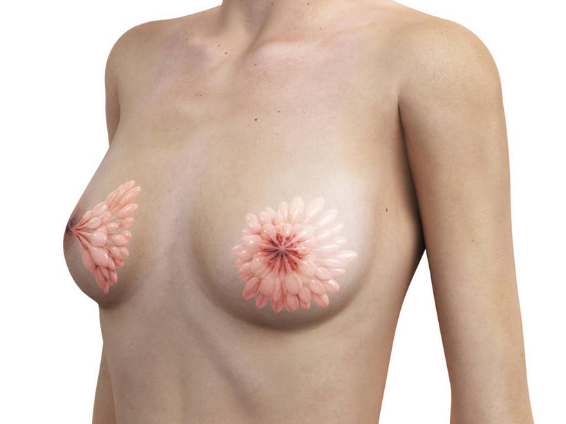 乳房,乳头,内脏,动脉,静脉,一个人,无人,站,横图,插画,室内,白天,白色背景,正面,数码,科技,仅一个年轻女性,仅一个女性,仅一个人,阴影,科学,网络,医学,高光,几何,计算机图形,合成,图画,裸露,画,站着,人体,电脑合成图,数码合成图,生物学,人体器官,器官,合成图,裸,漫画,写实,具体,具象,自然科学,博物学,生物科学,年轻女性,女人,女性,站立,半身,彩图