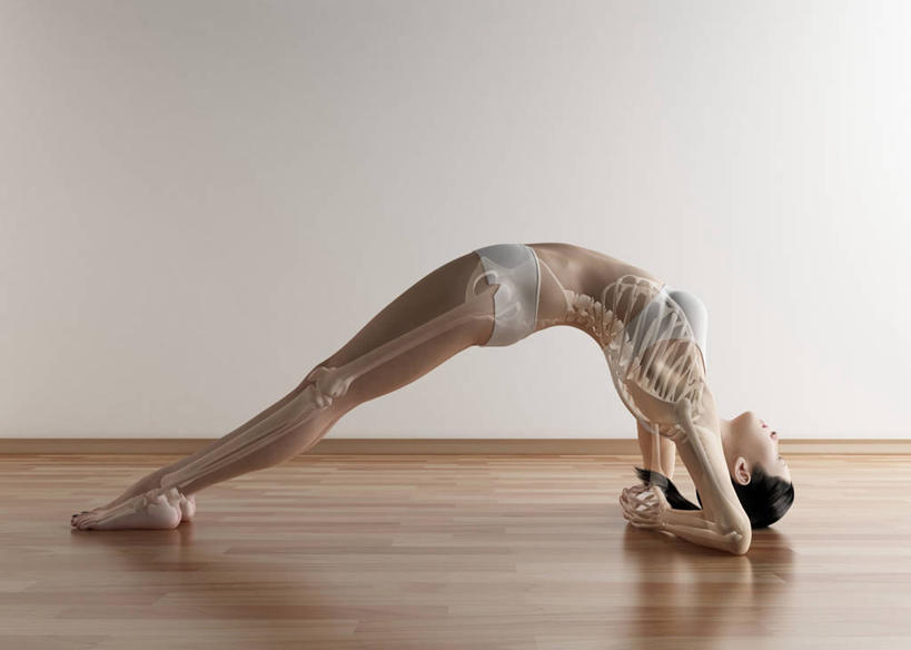 脊髓,骨骼,一个人,无人,躺,闭眼,横图,插画,室内,白天,侧面,锻炼,瑜伽,运动,数码,科技,地板,仅一个年轻女性,仅一个女性,仅一个人,撑,阴影,内裤,内衣,短裤,网络,墙,骨头,地面,高光,几何,计算机图形,合成,图画,光脚,木地板,墙壁,墙面,画,黄色,赤脚,胸罩,文胸,养生,三角裤,电脑合成图,数码合成图,骨架,撑着,合成图,漫画,写实,具体,具象,乳罩,胸衣,桥式,卧着,体育,年轻女性,女人,女性,脊柱,闭眼睛,闭着眼,闭着眼睛,躺着,卧,彩图,全身,健身,三角内裤