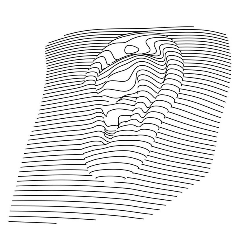 耳朵,无人,方图,黑白,插画,室内,白天,正面,数码,科技,阴影,科学,网络,纹路,纹理,线条,高光,几何,计算机图形,合成,图画,画,电脑合成图,数码合成图,生物学,人体器官,器官,合成图,漫画,耳廓,耳蜗,肌理,写实,具体,具象,内耳,中耳,听觉器官,耳膜,外耳,耳道,自然科学,博物学,生物科学,耳,耳部