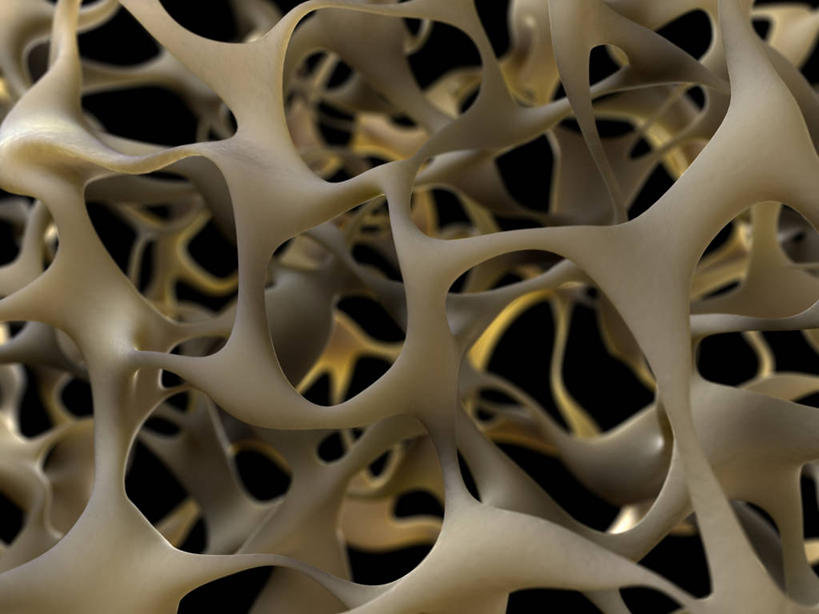 骨骼,无人,横图,插画,室内,白天,正面,数码,科技,阴影,黑色背景,丰富,网络,纹路,纹理,洞,褐色,骨头,高光,几何,计算机图形,凌乱,合成,图画,画,成熟,洞穴,庞大,复杂,电脑合成图,数码合成图,骨架,混乱,合成图,漫画,穴,肌理,写实,具体,具象,骨质疏松,谦让,随和,纷乱,缭乱,庞杂,繁杂,彩图