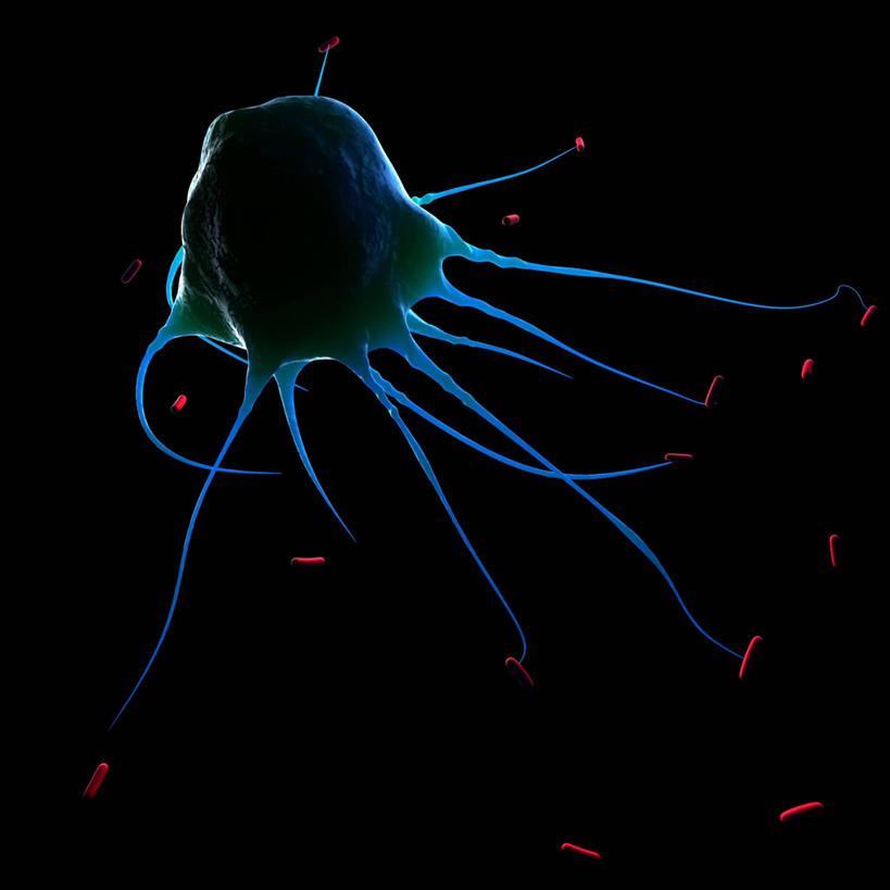 无人,方图,插画,室内,白天,正面,数码,科技,微生物,许多,阴影,黑色背景,网络,细菌,医学,高光,几何,计算机图形,合成,图画,画,一个,红色,蓝色,生物,单个,电脑合成图,数码合成图,医疗,病毒,生物学,合成图,漫画,写实,具体,具象,寄生,生命体,生物病毒,噬菌体,彩图,原核生物