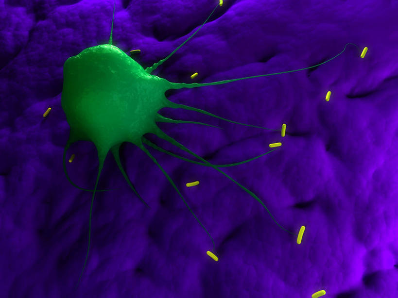 无人,横图,插画,室内,白天,正面,数码,科技,微生物,许多,阴影,紫色背景,网络,细菌,医学,高光,几何,计算机图形,合成,图画,画,一个,黄色,绿色,生物,单个,电脑合成图,数码合成图,医疗,病毒,生物学,合成图,漫画,写实,具体,具象,寄生,生命体,生物病毒,噬菌体,彩图,原核生物