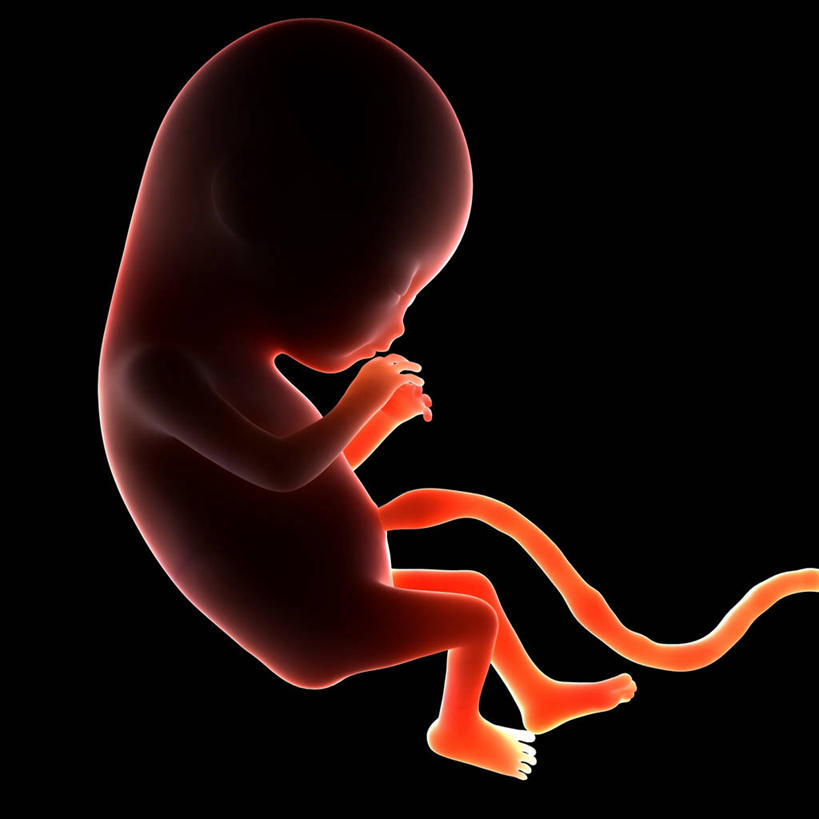 婴儿,儿童,一个人,无人,闭眼,方图,插画,室内,白天,侧面,纯洁,数码,科技,仅一个人,连接,阴影,黑色背景,网络,高光,几何,计算机图形,合成,图画,画,小孩,可爱,活泼,生长,成长,链接,电脑合成图,数码合成图,胎儿,发育,脐带,合成图,宝宝,漫画,孕育,纯真,烂漫,无邪,写实,具体,具象,链结,管状结构,伶俐,天真,孩子,闭眼睛,闭着眼,闭着眼睛,彩图,全身,胚胎