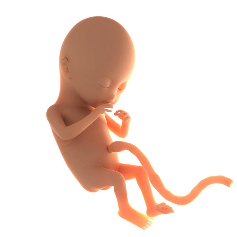 婴儿,儿童,一个人,无人,闭眼,方图,插画,室内,白天,白色背景,侧面,纯洁,数码,科技,仅一个人,连接,阴影,网络,高光,几何,计算机图形,合成,图画,画,小孩,可爱,活泼,生长,成长,链接,电脑合成图,数码合成图,胎儿,发育,脐带,合成图,宝宝,漫画,孕育,纯真,烂漫,无邪,写实,具体,具象,链结,管状结构,伶俐,天真,孩子,闭眼睛,闭着眼,闭着眼睛,彩图,全身,胚胎