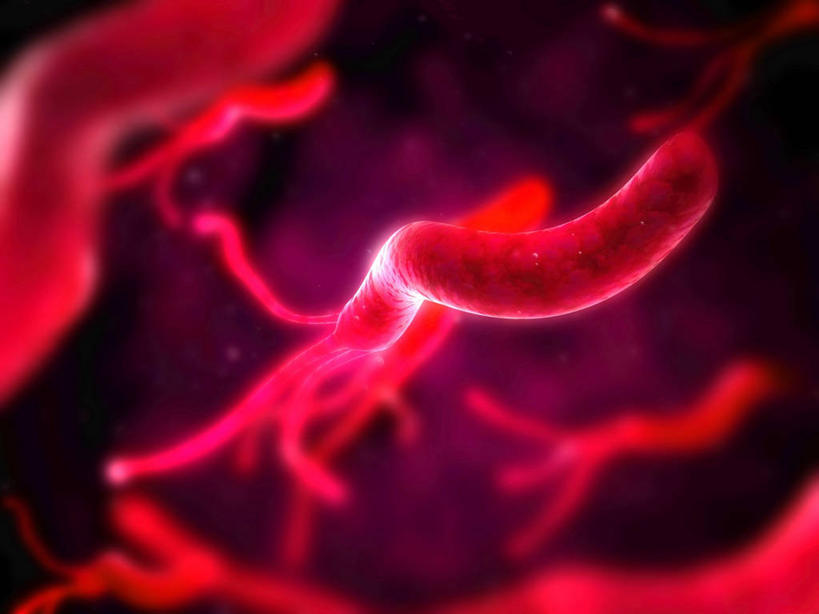 无人,横图,插画,室内,白天,正面,兴奋,热情,数码,科技,微生物,阴影,朦胧,模糊,网络,细菌,高光,几何,计算机图形,开放,合成,图画,画,红色,健康,温暖,生物,奔放,活力,积极,激情,朝气,暖色,吉祥,电脑合成图,数码合成图,生命,合成图,漫画,饱满,写实,具体,具象,革命,杆菌,生命体,热烈,赤色,充实,斗志,喜气,主动,彩图,欢乐,原核生物