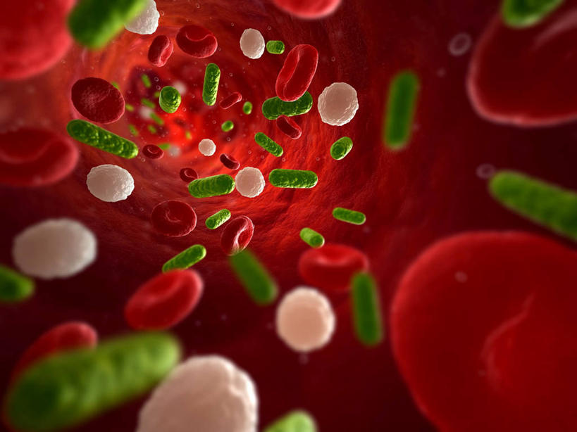 无人,横图,插画,室内,白天,正面,兴奋,热情,数码,科技,微生物,许多,阴影,科学,网络,红血球,医学,细胞,高光,几何,计算机图形,开放,合成,图画,画,红色,绿色,白色,健康,温暖,奔放,活力,积极,激情,朝气,暖色,吉祥,电脑合成图,数码合成图,病毒,生物学,血细胞,生命,合成图,漫画,饱满,白细胞,写实,具体,具象,革命,红细胞,寄生,生命体,生物病毒,白血球,热烈,赤色,充实,斗志,喜气,主动,自然科学,博物学,生物科学,彩图,欢乐,免疫细胞,白血细胞