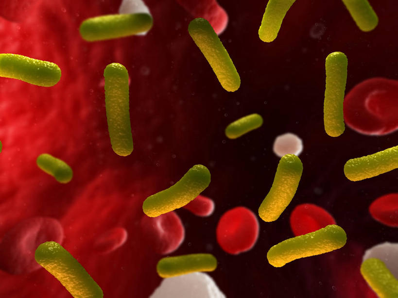 无人,横图,插画,室内,白天,正面,数码,科技,微生物,许多,阴影,红色背景,科学,网络,红血球,细菌,医学,细胞,高光,几何,计算机图形,合成,图画,画,绿色,生物,电脑合成图,数码合成图,生物学,血细胞,合成图,漫画,白细胞,写实,具体,具象,红细胞,杆菌,生命体,枯草芽孢杆菌,白血球,芽孢杆菌,彩图,免疫细胞,白血细胞,原核生物