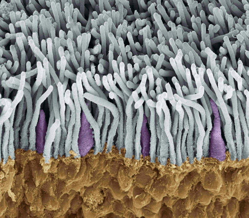 无人,横图,插画,室内,白天,正面,数码,科技,许多,阴影,网络,绒毛,高光,几何,计算机图形,合成,图画,画,一个,单个,电脑合成图,数码合成图,视网膜,漫画,写实,具体,具象,彩图